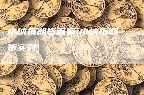小纳指期货直播(小纳指期货实时)