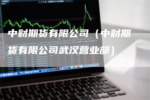 中财期货有限公司（中财期货有限公司武汉营业部）
