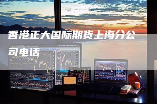 香港正大国际期货上海分公司电话