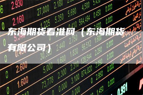 东海期货看准网（东海期货有限公司）