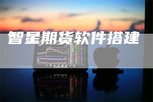 智星期货软件搭建