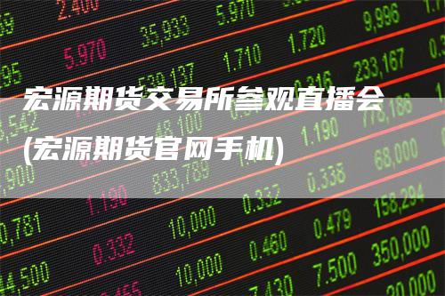 宏源期货交易所参观直播会(宏源期货官网手机)
