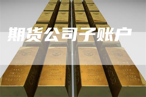 期货公司子账户