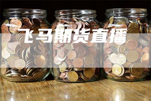 飞马期货直播