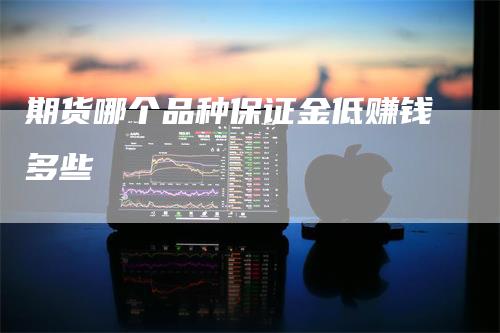 期货哪个品种保证金低赚钱多些