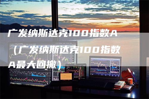 广发纳斯达克100指数A（广发纳斯达克100指数A最大回撤）