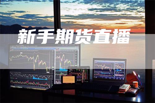 新手期货直播