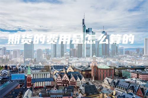 期货的费用是怎么算的