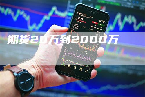 期货20万到2000万