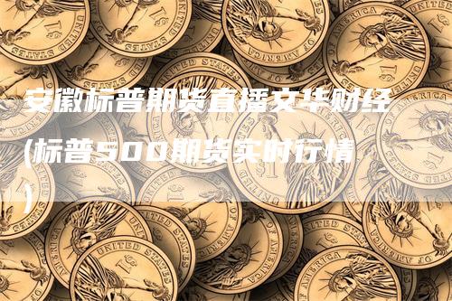 安徽标普期货直播文华财经(标普500期货实时行情)